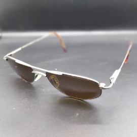 Double nose-bridge glasses